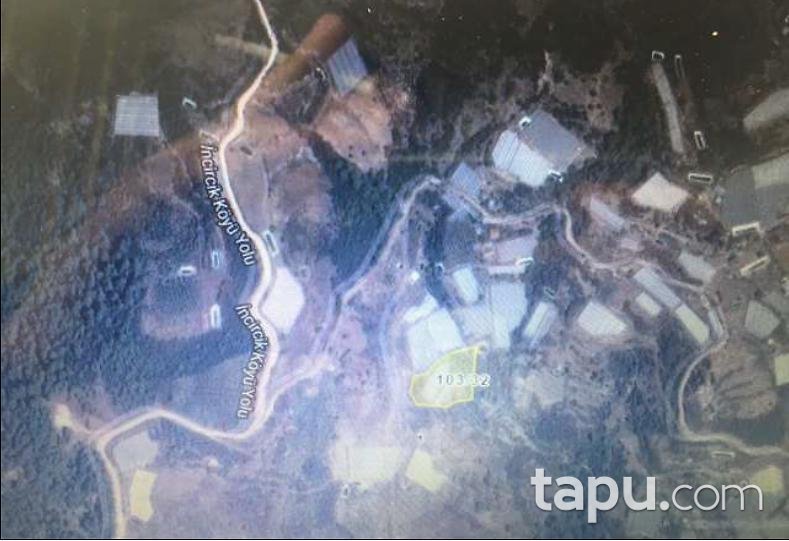 Antalya Kumluca İncircik Köyünde 7.036 m2 Tarla