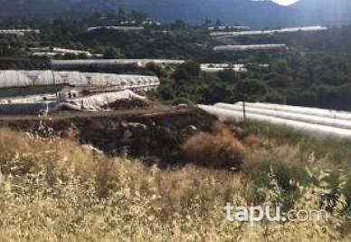 Antalya Kumluca İncircik Köyünde 7.036 m2 Tarla