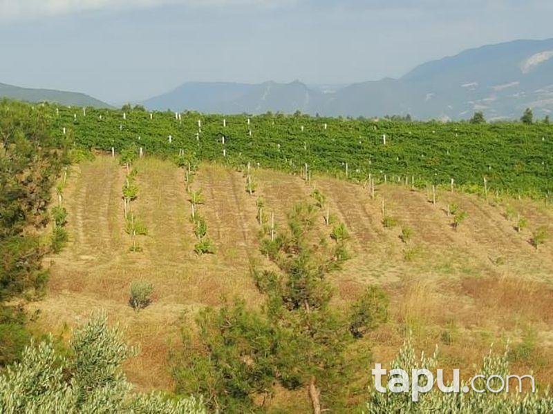 Sakarya Geyve'de 6.171 m2 Tarla