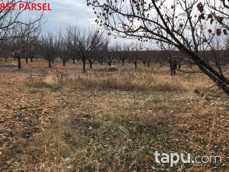 Isparta Yalvaç Aşağıkarşıkara Köyünde 14350 m2 Tarla