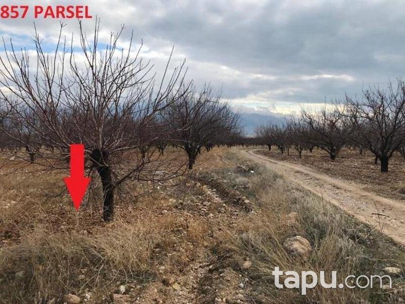 Isparta Yalvaç Aşağıkarşıkara Köyünde 14350 m2 Tarla