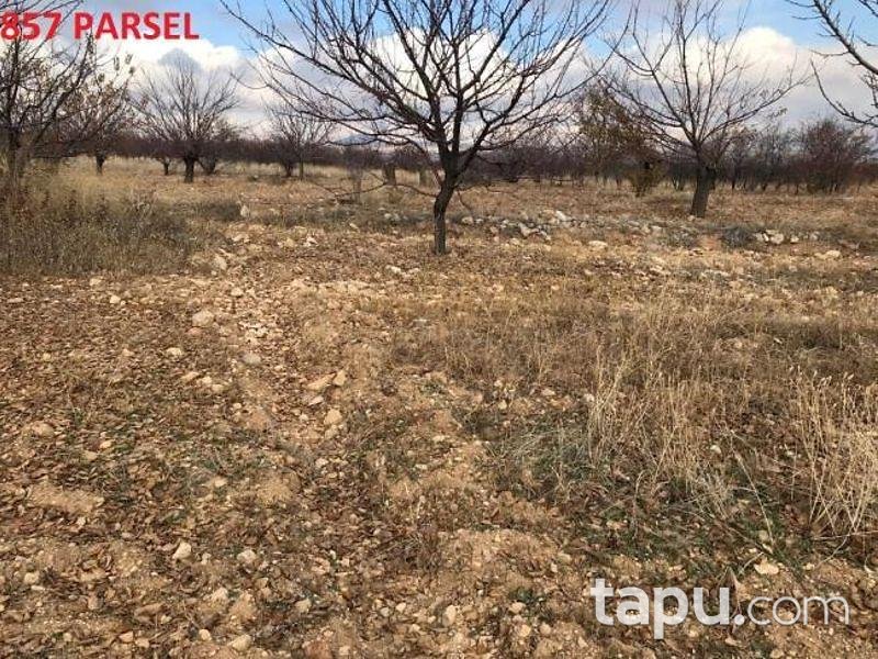Isparta Yalvaç Aşağıkarşıkara Köyünde 14350 m2 Tarla