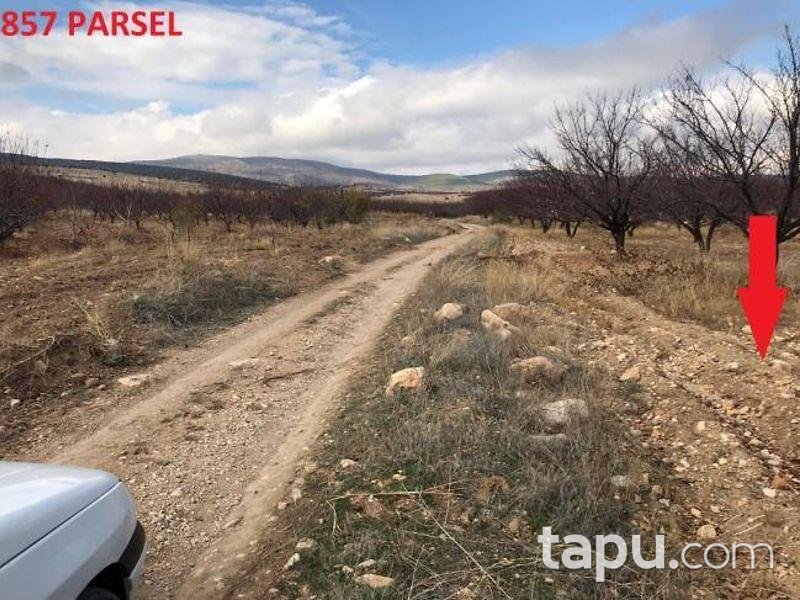 Isparta Yalvaç Aşağıkarşıkara Köyünde 14350 m2 Tarla