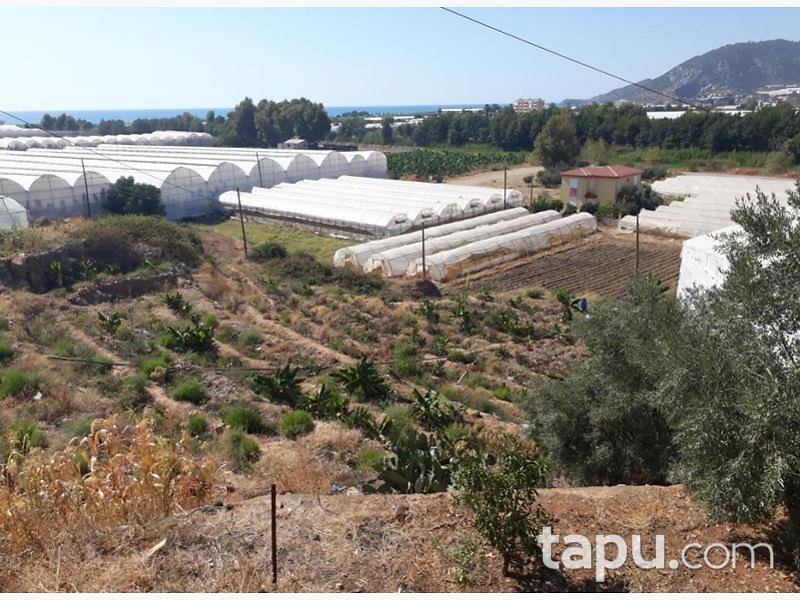 Antalya Gazipaşa Beyobaşı Mahallesi'nde İmarlı 596 m2 Arsa