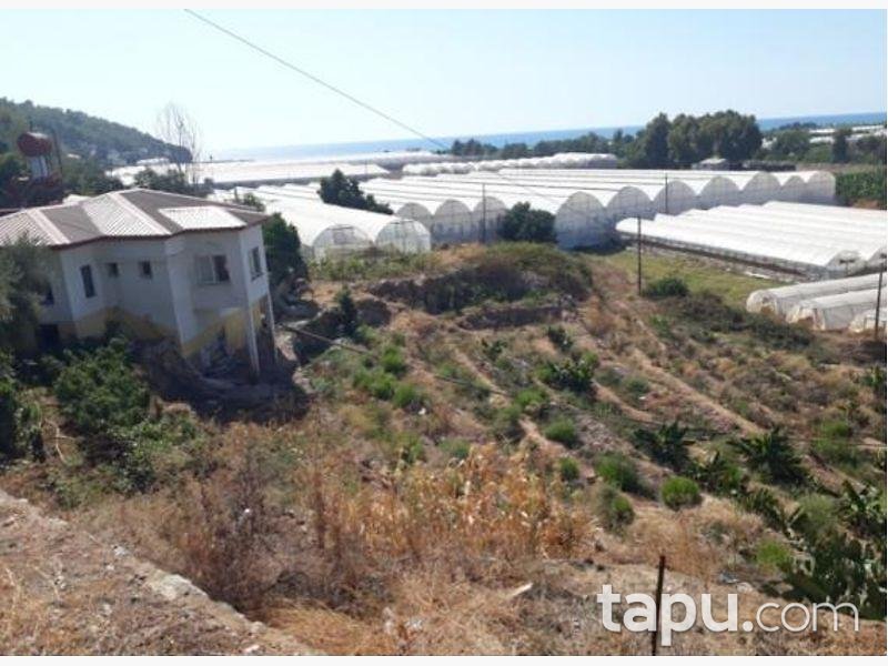 Antalya Gazipaşa Beyobaşı Mahallesi'nde İmarlı 596 m2 Arsa