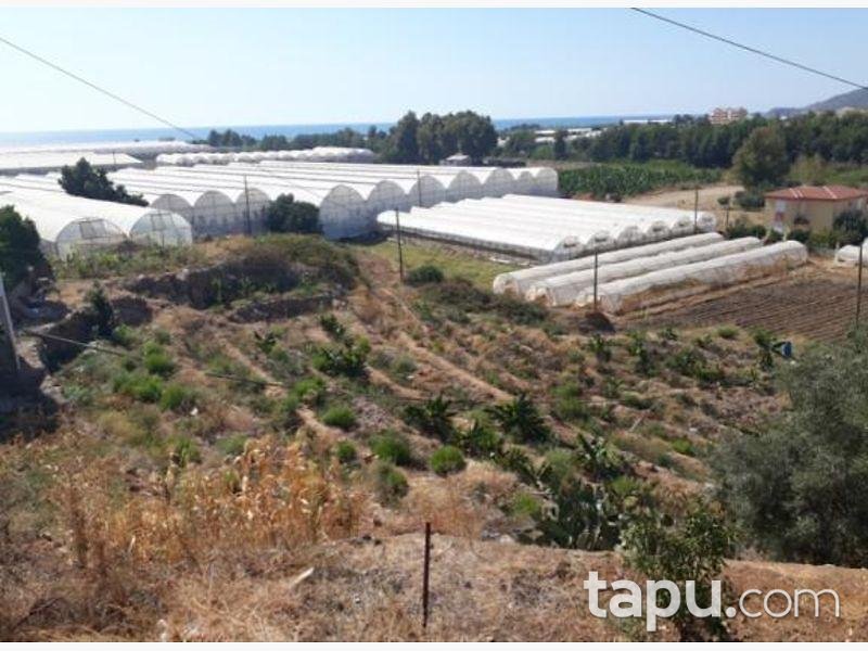 Antalya Gazipaşa Beyobaşı Mahallesi'nde İmarlı 596 m2 Arsa