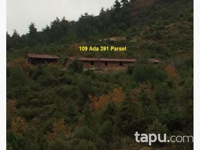 Bilecik İnhisar Samrı Köyü'nde 1872m2 Tarla