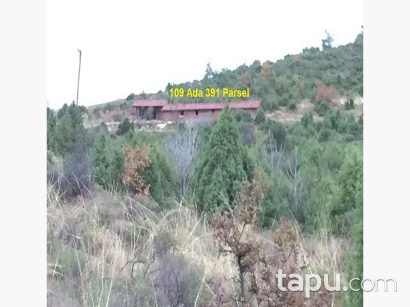 Bilecik İnhisar Samrı Köyü'nde 1872m2 Tarla