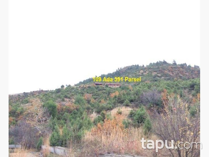 Bilecik İnhisar Samrı Köyü'nde 1872m2 Tarla