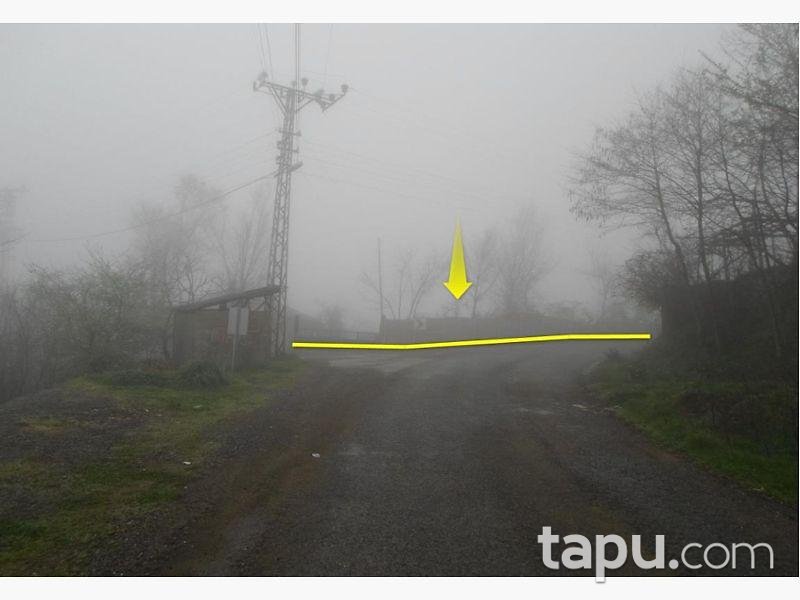 Sakarya Kocaali Çukurköy'de Müstakil Ev ve Arsa