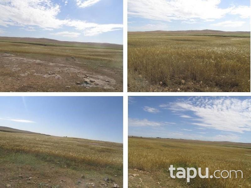 Şanlıurfa Karaali Mahallesi'nde 47.600 m2 Tarla