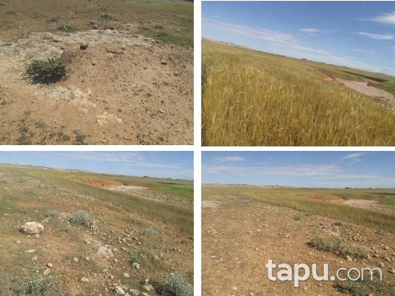 Şanlıurfa Karaali Mahallesi'nde 47.600 m2 Tarla