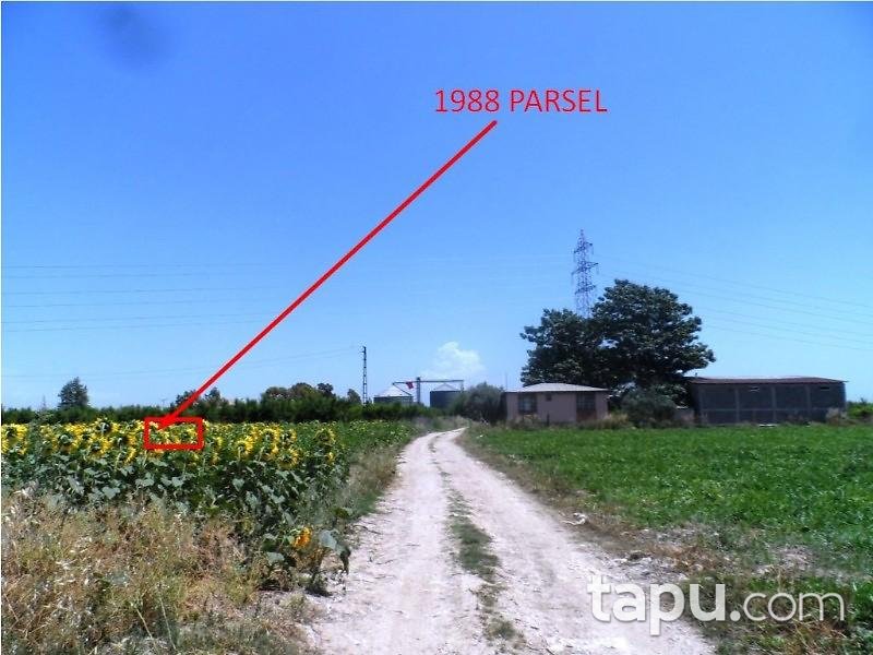 Adana Ceyhan Büyük Mangıt Mahallesinde 240 m2 Tarla