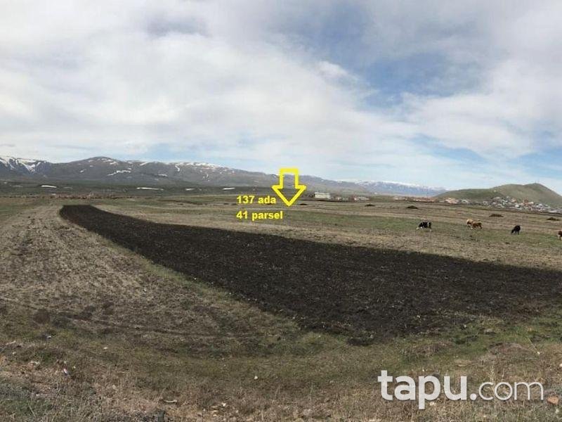 Ardahan Merkez Yalnızçam Köyü Şöse Altı Mevkiinde 5997 m2 Tarla