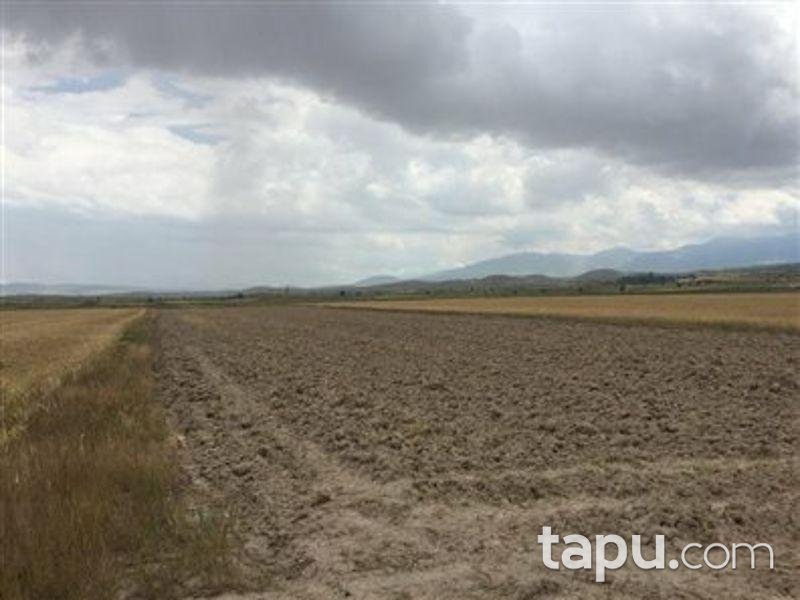 Aksaray Merkez Helvadere Köyünde 4814 m2 Tarla