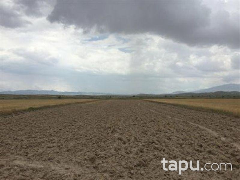 Aksaray Merkez Helvadere Köyünde 4814 m2 Tarla