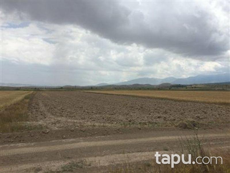 Aksaray Merkez Helvadere Köyünde 4814 m2 Tarla