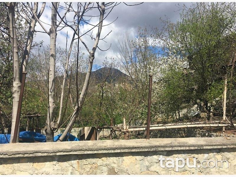 Artvin Ardanuç Atatürk Caddesinde 168 m2 Müstakil Ev