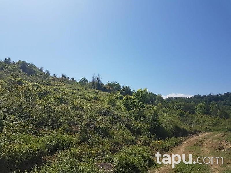 Sinop Türkeli Güzelkent Beldesinde 310 m2 İmarlı Arsa