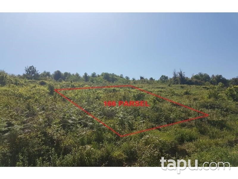 Sinop Türkeli Güzelkent Beldesinde 310 m2 İmarlı Arsa