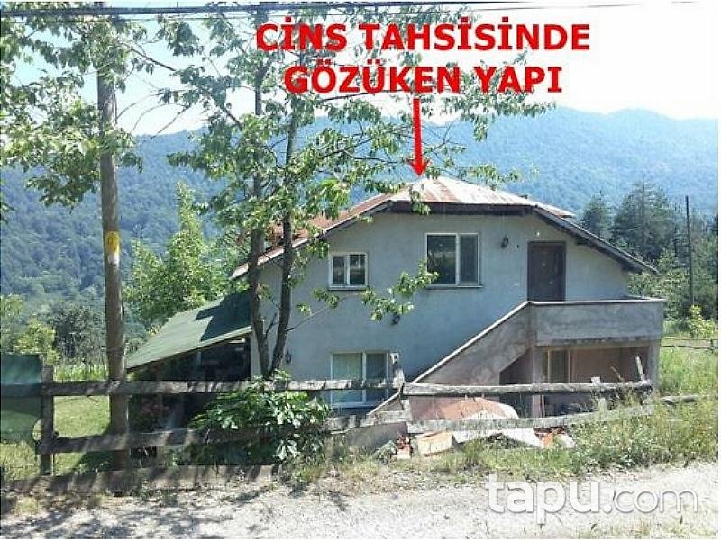 Sakarya Hendek Karadere'de 332 m2 Kargir Ev ve Bahçesi