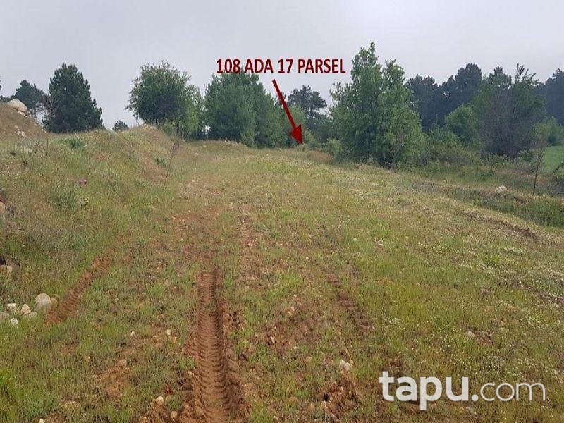 Aydın Buharkent Ericek Mahallesinde 7997 m2 Tarla