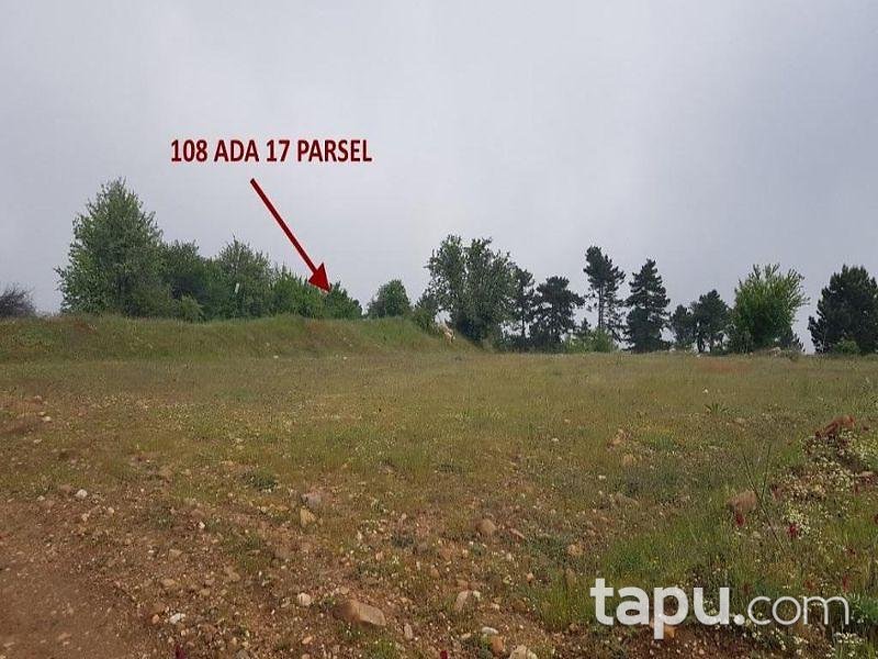 Aydın Buharkent Ericek Mahallesinde 7997 m2 Tarla