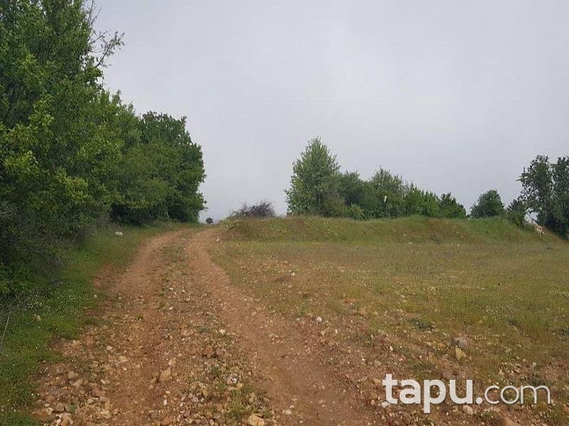 Aydın Buharkent Ericek Mahallesinde 7997 m2 Tarla