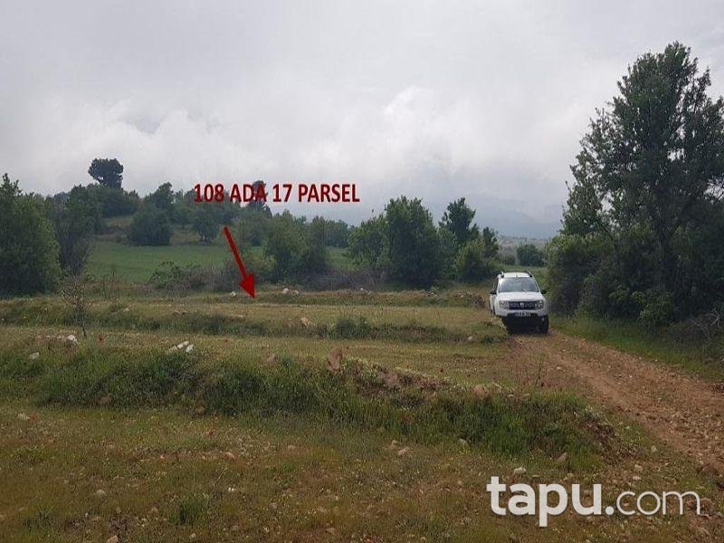 Aydın Buharkent Ericek Mahallesinde 7997 m2 Tarla