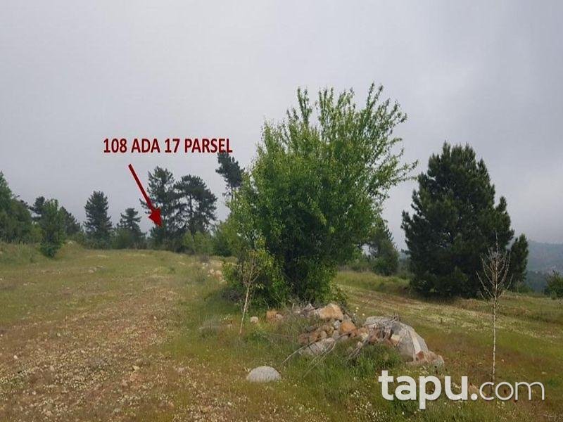 Aydın Buharkent Ericek Mahallesinde 7997 m2 Tarla