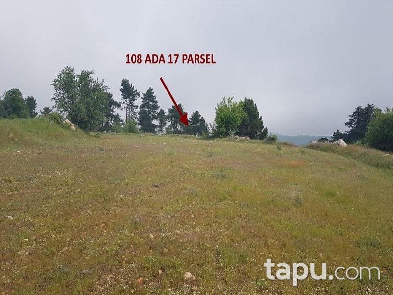 Aydın Buharkent Ericek Mahallesinde 7997 m2 Tarla