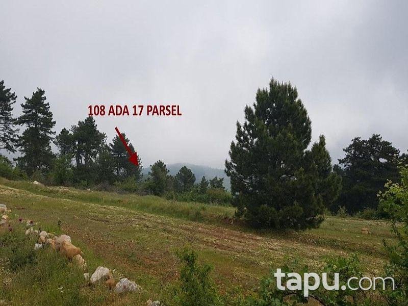 Aydın Buharkent Ericek Mahallesinde 7997 m2 Tarla