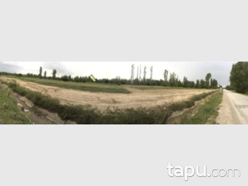 Afyonkarahisar Çobanlar Yavuzselim Mahallesinde 3678 m2 Tarla