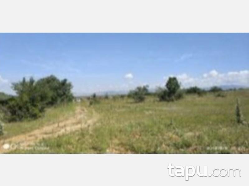 Isparta Şarkikaraağaç Yukarı Dinek Köyünde 7997 m2 Tarla