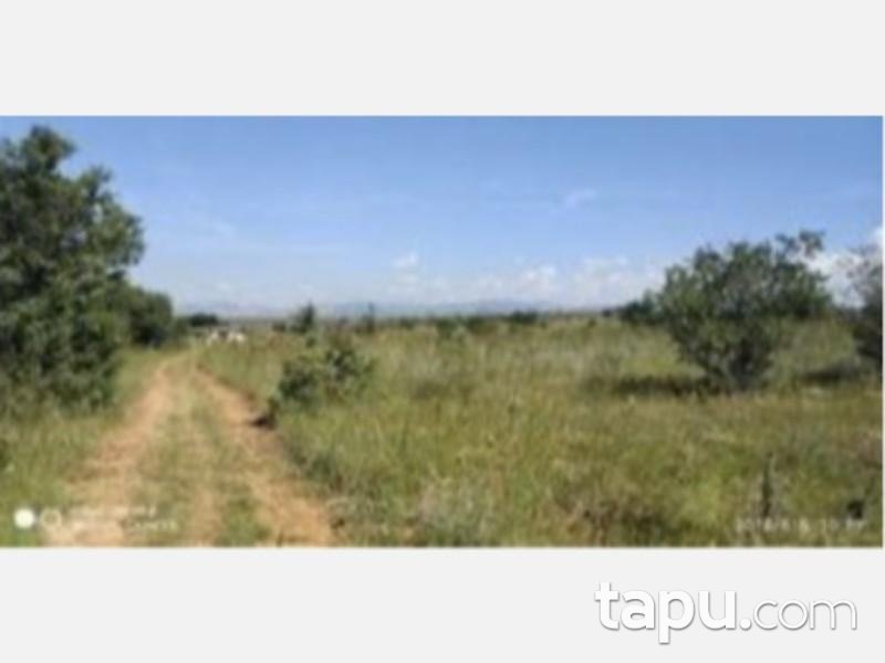 Isparta Şarkikaraağaç Yukarı Dinek Köyünde 7997 m2 Tarla