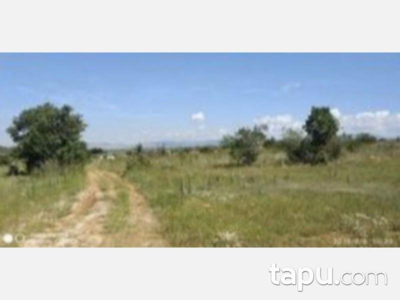 Isparta Şarkikaraağaç Yukarı Dinek Köyünde 7997 m2 Tarla