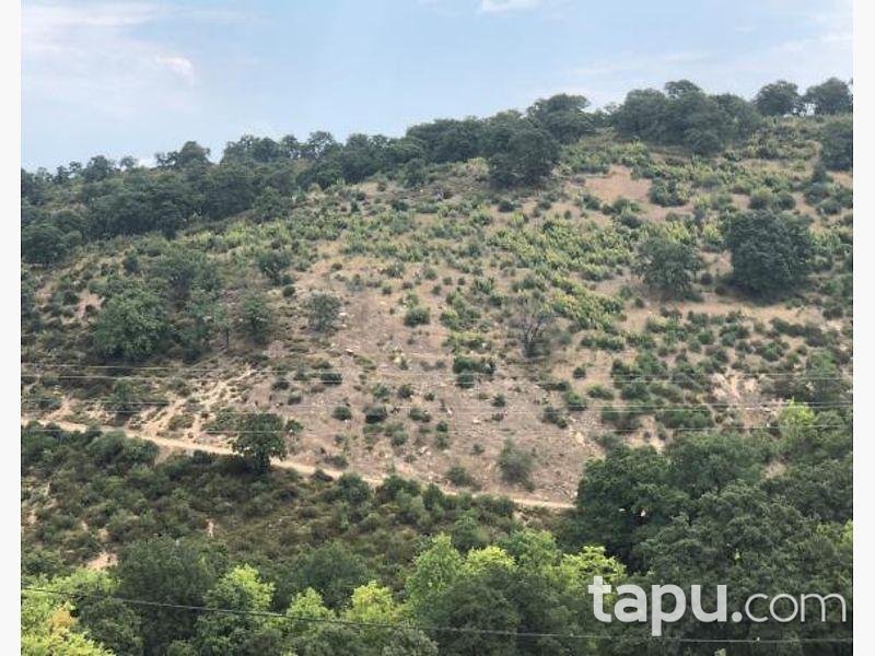 Çanakkale Biga İlyasalan Köyünde 4.500 m2 Tarla