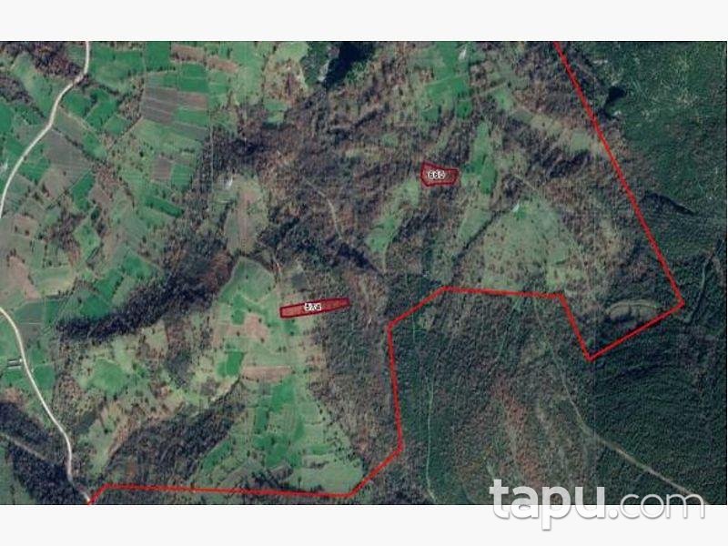 Çanakkale Biga İlyasalan Köyünde 3.742 m2 Tarla