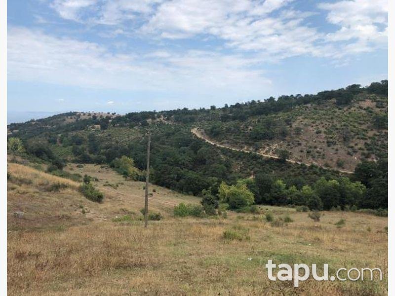 Çanakkale Biga İlyasalan Köyünde 3.742 m2 Tarla