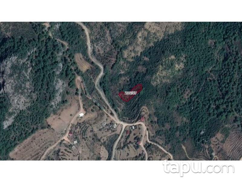 Antalya Alanya Çamlıca'da 2018 m2 Tarla