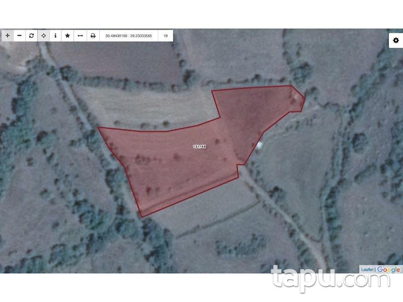 Kütahya Tavşanlı Değirmisaz Köyünde 4.646 m2 Tarla