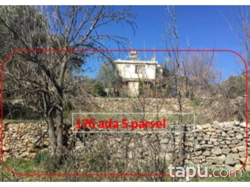 Muğla Fethiye İncirköy Mahallesinde 7518 m2 İncir Bahçesi ve 2 Katlı Kargir Ev