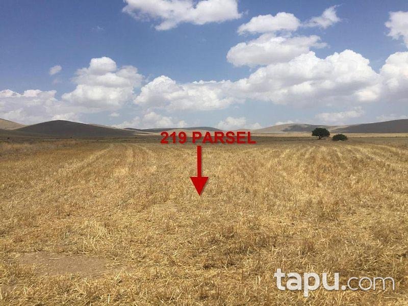 Konya Ilgın Çobankaya Mahallesinde 5.961 m2 Tarla