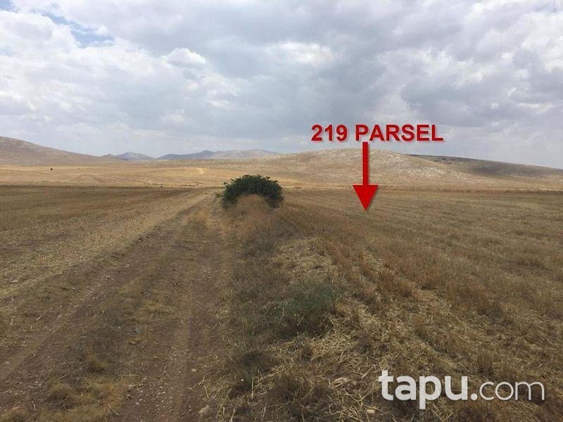 Konya Ilgın Çobankaya Mahallesinde 5.961 m2 Tarla