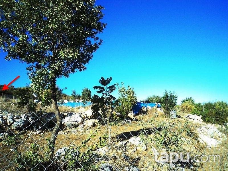 Mersin Tarsus Beylice Köyünde 4080 m2 Tarla