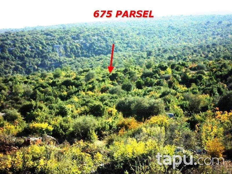 Mersin Tarsus Beylice Köyünde 4080 m2 Tarla