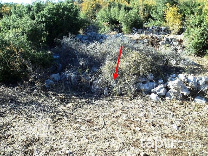 Mersin Tarsus Beylice Köyünde 4080 m2 Tarla