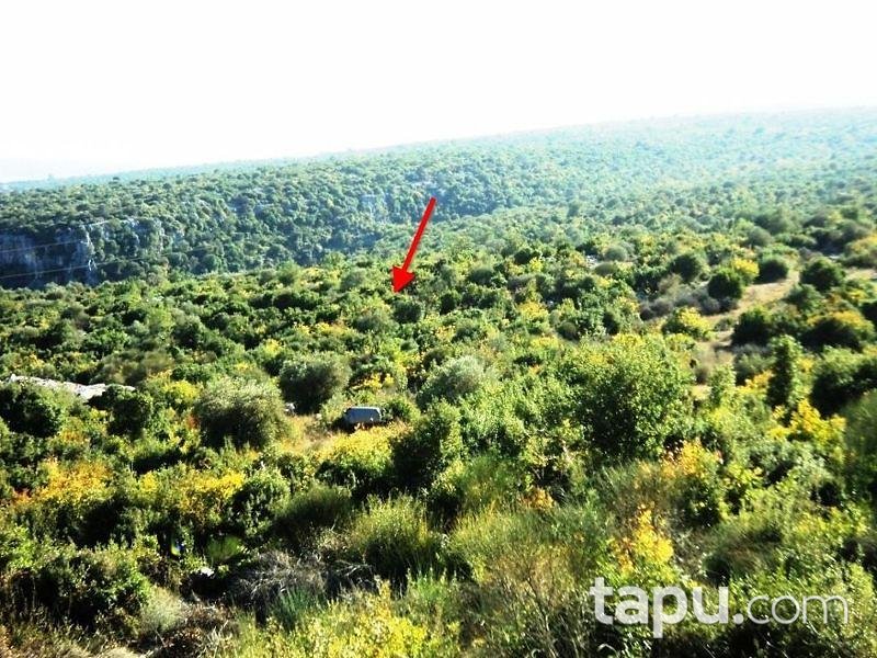 Mersin Tarsus Beylice Köyünde 4080 m2 Tarla