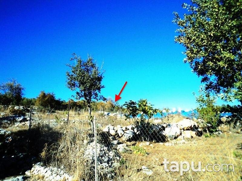 Mersin Tarsus Beylice Köyünde 4080 m2 Tarla