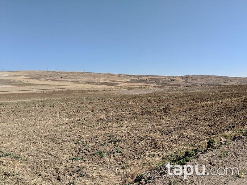 Çorum Uğurludağ Karakısık Köyünde 4 Adet 129.300 m2 Tarla